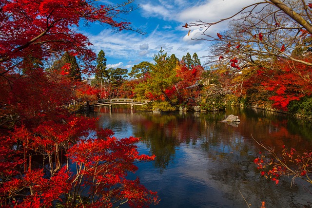 best fall destinations in Japan