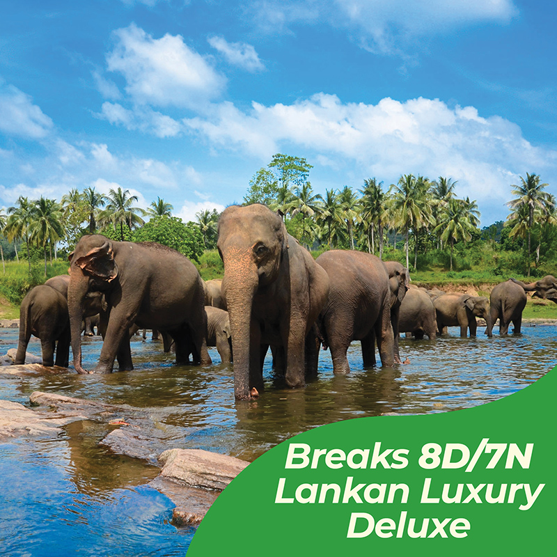 breaks-8d-7n-lankan-luxury-deluxe